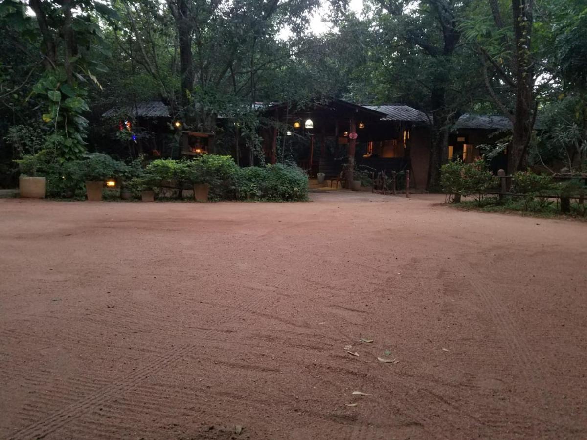 The Inn On The Tree Sigiriya Eksteriør bilde