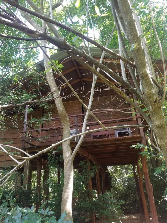 The Inn On The Tree Sigiriya Eksteriør bilde