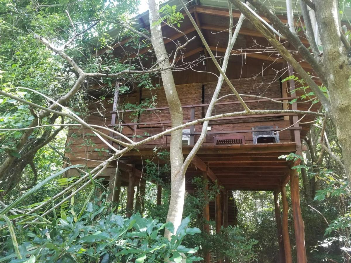 The Inn On The Tree Sigiriya Eksteriør bilde