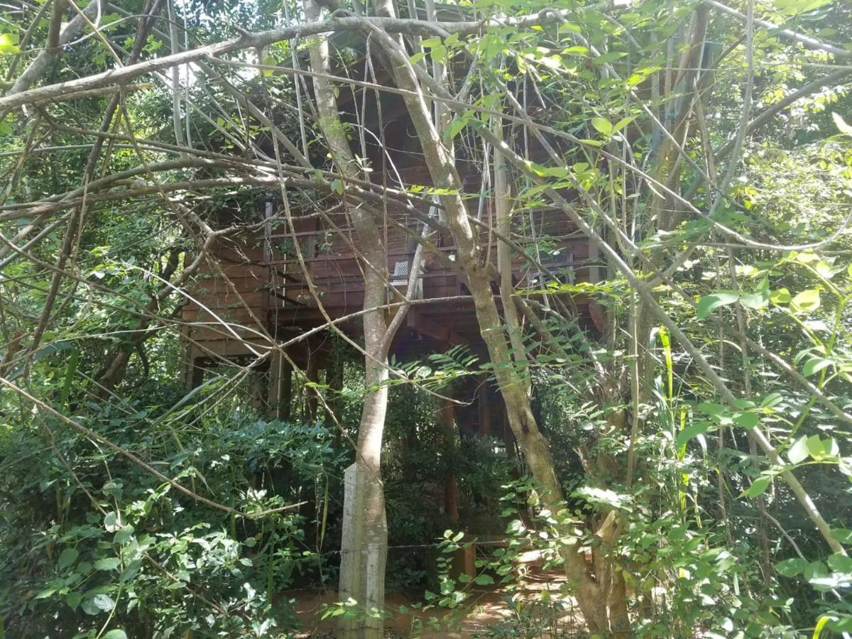 The Inn On The Tree Sigiriya Eksteriør bilde